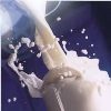 Красноярский УФАС проверит крупнейших переработчиков молока на предмет сговора