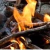 В Красноярском крае за год возбуждено более 80 уголовных дел по лесным пожарам