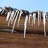 Наступившая неделя в Красноярске обойдется без мороза