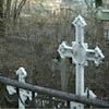 В Сухобузимском районе подростки разгромили кладбище (фото)