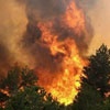 В результате природных пожаров в России погибли 40 человек
