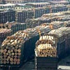 Красноярский бизнесмен подозревается в контрабанде леса на 47 млн рублей
