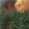 В Красноярском крае горит 240 гектаров леса
