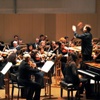 Красноярский симфонический оркестр выступит на траве 