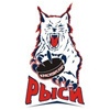 У молодежной хоккейной команды «Красноярские рыси» появилась эмблема (лого) 