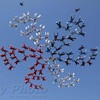 Красноярские парашютистки установили мировой рекорд
