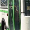 Красноярцев попросили высказаться об изменении нескольких автобусных маршрутов