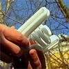 Красноярцам расскажут, как сэкономить на утилизации энергосберегающих лампочек