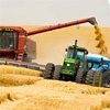 Красноярский край стал продавать больше зерна в другие регионы