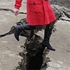 Жителям Красноярского края предложили высказаться о ремонте дорог