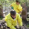 Волонтёры наведут порядок на могиле красноярской школьницы Лиды Прушинской