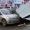 Ветер в Красноярске сломал ёлку и опрокинул остановку общественного транспорта