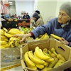 Цена на бананы в России превысила 15-летний максимум