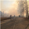 Из-за детской шалости на острове Татышев произошел серьезный пожар (видео)