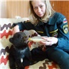 В Богучанах медвежонок признал «мамой» пожарного инспектора (видео)