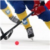 Хоккей с мячом включили в программу Универсиады 2019 года в Красноярске