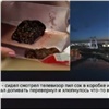 Красноярец нашел скользкий предмет в пачке сока (видео)