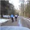 На «Столбах» с погоней поймали велосипедистов-нарушителей (видео)