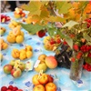 Минусинские яблоки селекционных сортов представят на ярмарке «Осень на даче»