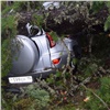 В природном парке «Ергаки» кедр упал на автомобили туристов