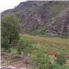 «Хотели козленочка погладить»: в Хакасии двое детей чуть не погибли на скалах