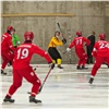 Хоккейный реванш и бесплатные выставки: вторник в Красноярске