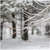 Предпоследние выходные декабря в Красноярске будут теплыми
