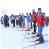 Красноярцам предложили провести новогодние каникулы на лыжах