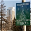 Мастер-класс по лыжам и четыре городские елки: среда в Красноярске