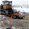 В Красноярске уничтожили первые в новом году санкционные яблоки (видео)