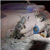 Травмированный при аварии Ми-8 турист полчаса пролежал под бочками с горючим