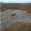 Красноярских переработчиков мусора оштрафовали за незаконную свалку (видео)