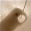 Жители Солнечного пожаловались на грязную воду из-под крана (видео)