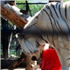 Тигр красноярского зоопарка предсказал победу сборной России (видео)