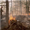 Красноярский край вышел на первое место в России по площади лесных пожаров