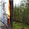Заповедник «Тунгусский» не сможет принимать туристов из-за бушующих рядом лесных пожаров