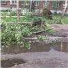 По Лесосибирску пронёсся разрушительный ураган: вырваны деревья и разбиты машины (видео)
