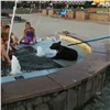 В Канске медвежонок искупался в городском фонтане (видео)