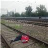 Красноярец погиб под поездом возле «Белых рос»