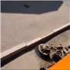 Мэр Красноярска прокатился на дорожном пылесосе (видео)