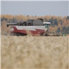 Красноярские аграрии убрали зерновые и зернобобовые на трети площадей