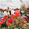 Свежий урожай, редкие цветы и чешских коз привезут на красноярскую ярмарку «Осень на даче» 