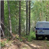 «Черные лесорубы» спилили на востоке Красноярского края лес на 3,5 миллиона