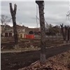 На территории исторической больницы в центре Красноярска под корень спилили деревья (видео)