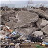 В Красноярске экологи задержали два КамАЗа со строительным мусором без документов 