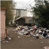 Обсуждение «мусорной реформы» в Госдуме отменили из-за Красноярского края