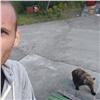 «Ищет пищу три недели»: на турбазу в Норильске пришёл медведь (видео)