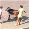 В Красноярске две девушки избивали пони в центре города (видео)