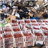 В Красноярске уничтожили 70 ящиков подозрительных томатов 