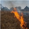 За первую неделю апреля жители Красноярского края 82 раза поджигали сухую траву в городах
